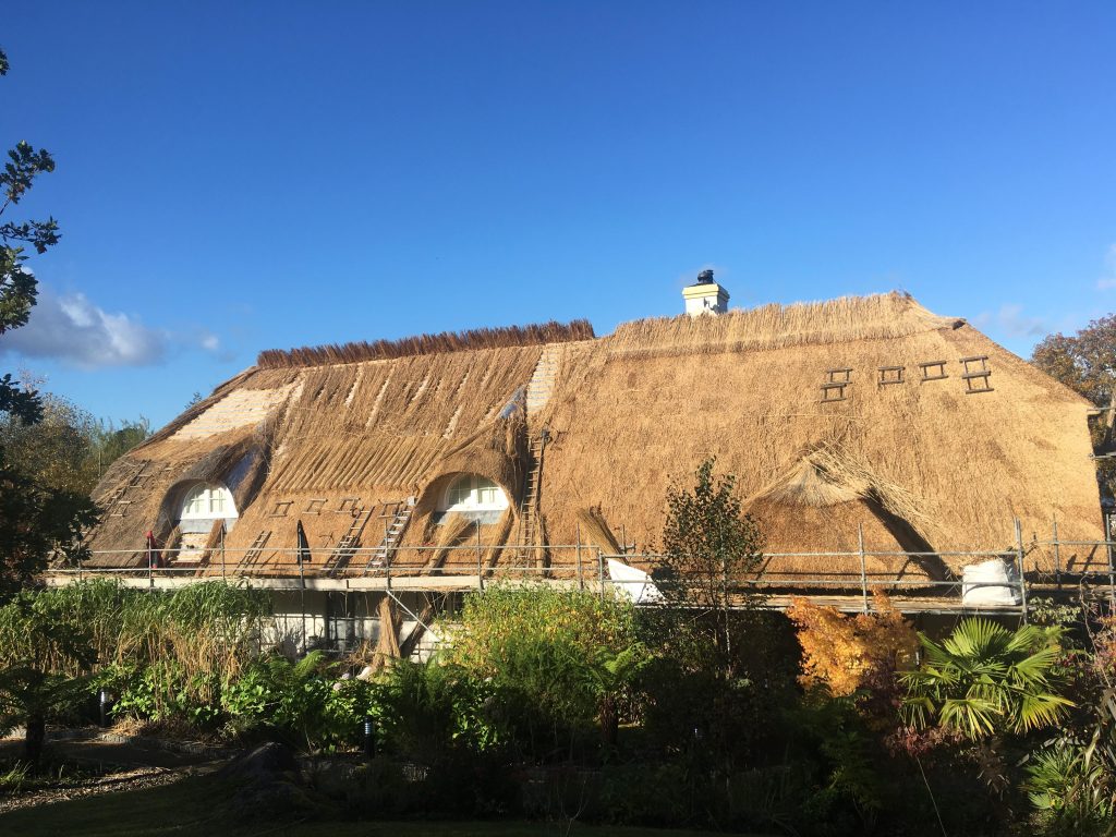 thatching Luke Robinson South West England