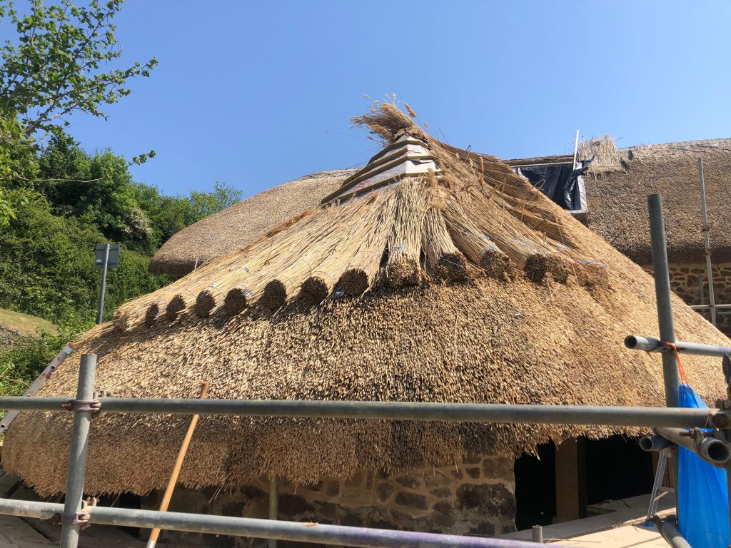 thatched round house, heritage house with new roof, water reed thatched roof in lower ashton, teign valley, Dartmoor National Park