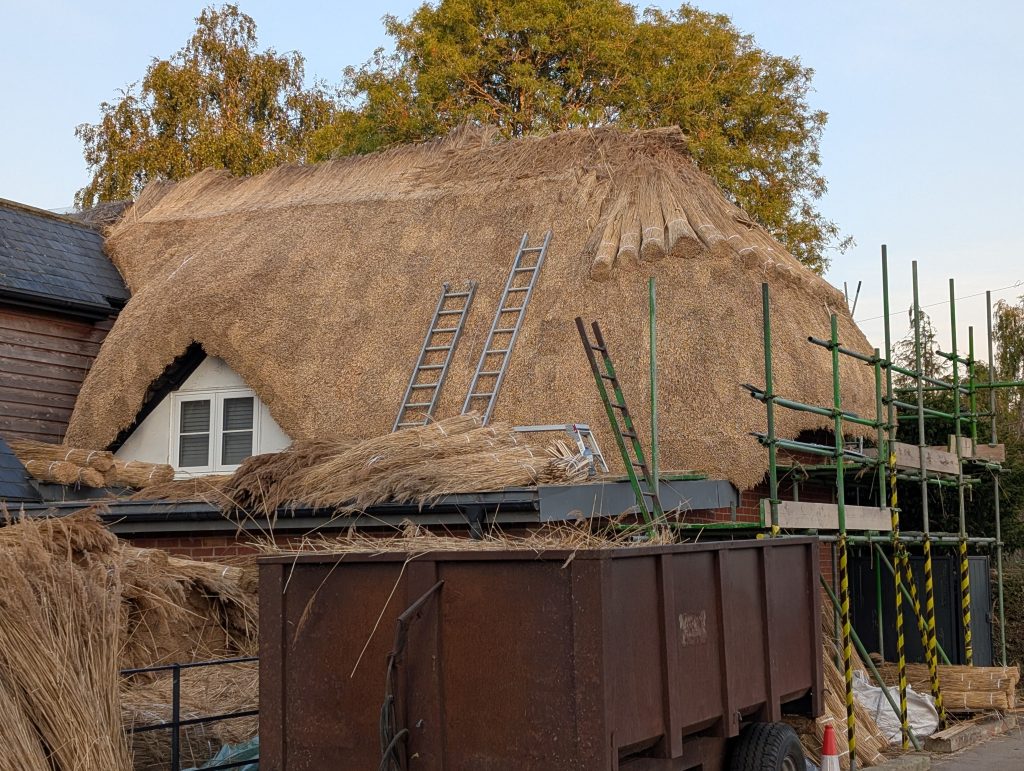 thatching water reed england