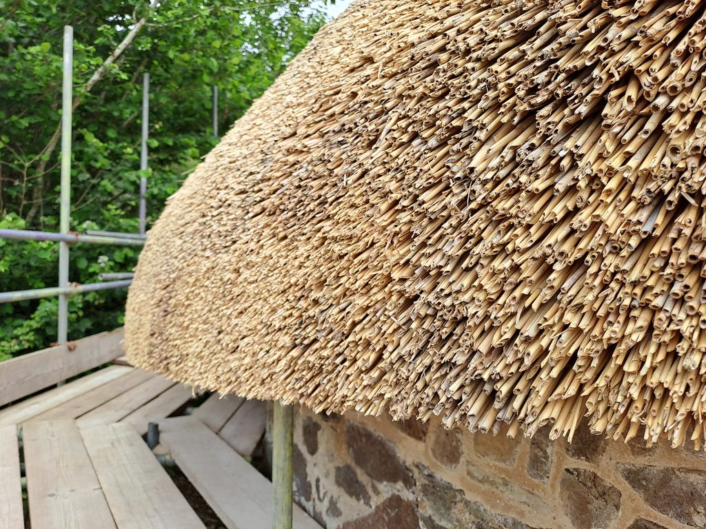 Detail of traditional thatched roof texture, reed layers and eves