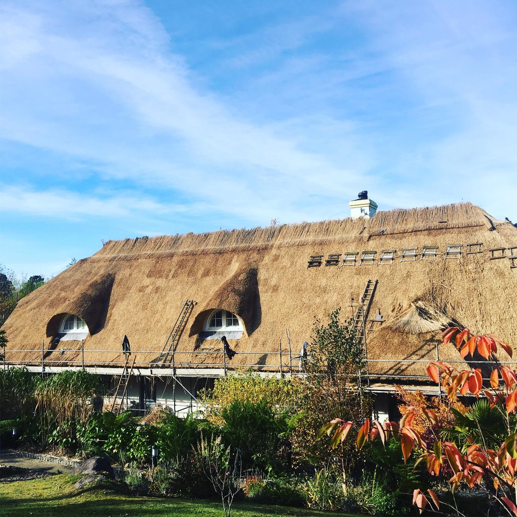 Thatching project by Luke Robinson in South West England