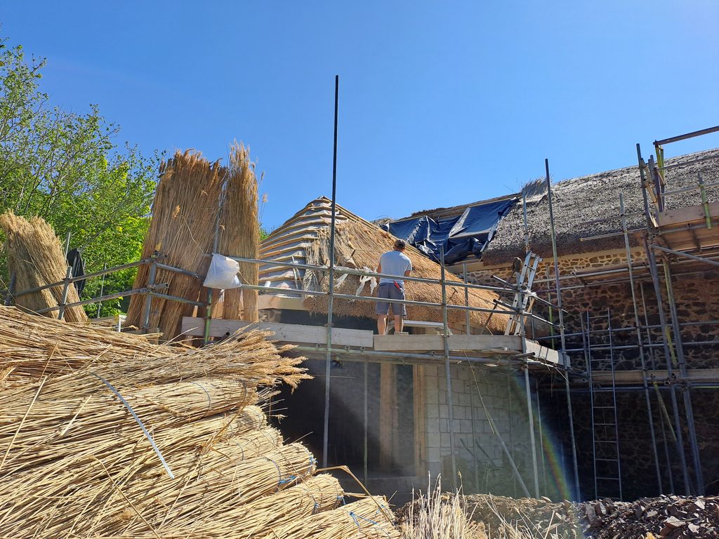 Luke Robinson inspecting the base layers of a thatched roof while water reed installation