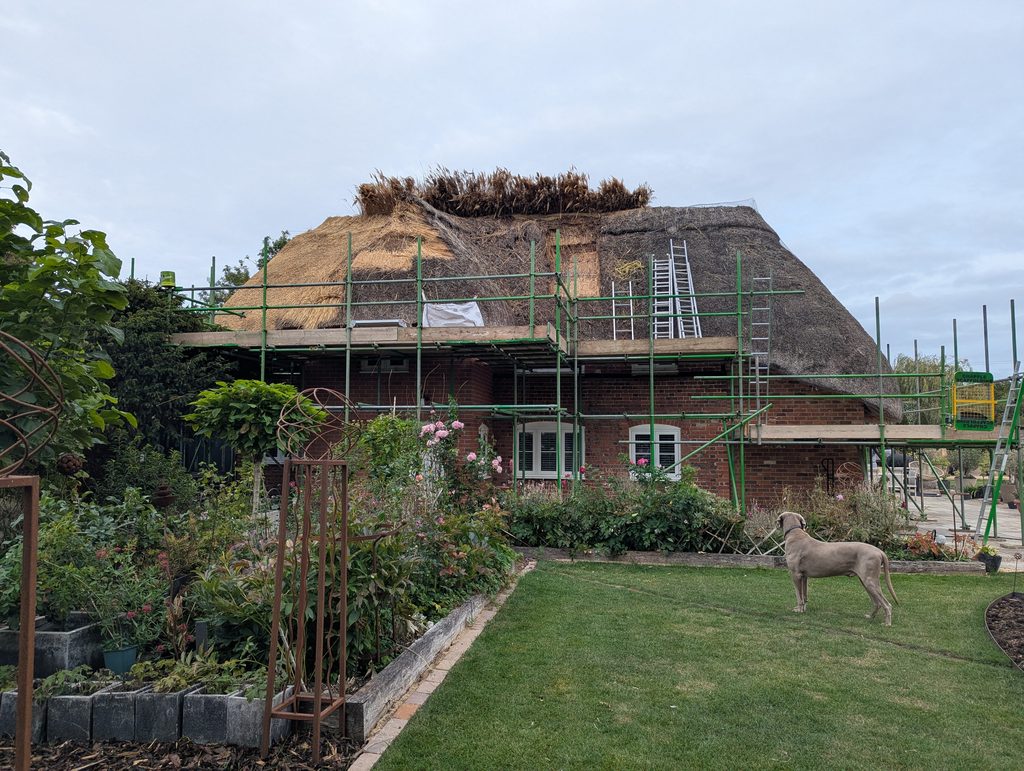 rethatch with water reed dorset, thatched roof repair by Luke Robinson Master Thatcher