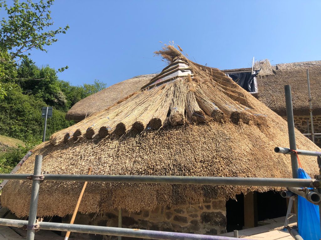 Preparing the base layers of a thatched roof before water reed installation