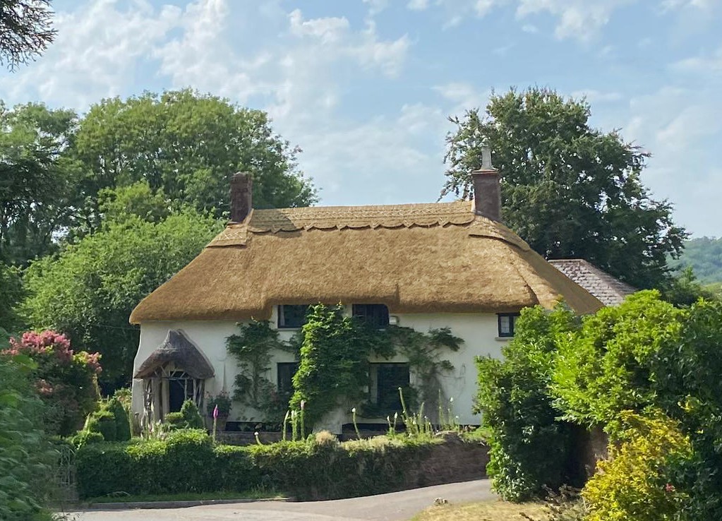 Traditional water reed thatched roof on traditional English thatched cottage completed in Somerset by Master Thatcher Luke Robinson